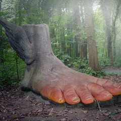 D-wink -Grote Poot'n Int Plantsoen ( Buy = Gratis download )