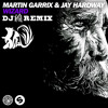 Wizard-Martin Garrix & Jay Hardway(DJ 狐 REMIX)
