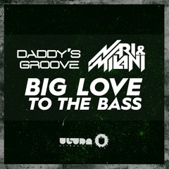 Daddy's Groove vs Nari & Milani - Big Love To The Bass (David Guetta Brand Nite DJ Mix 206 Rip)