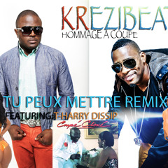 KREZIBEATZ HOMMAGE A KOUPE  TU PEUX METTRE REMIX  FEATURING T-HARRY DISSIP.