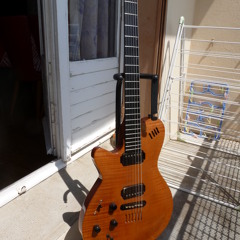 Test Godin Acoustique Blues