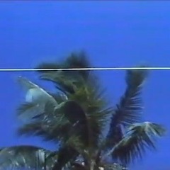 Wet Warm Wind