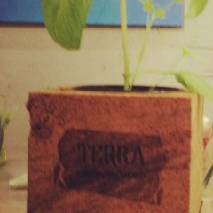 TERRA Jazz, Blues, Caribbean, Brazilian, R&B, Funk and Soul Mix