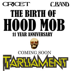 THE BIRTH OF HOOD MOB