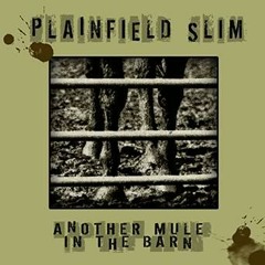 Let Go My Hand - Plainfield Slim - Bongo Boy Records