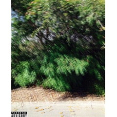 IOS Shawty (prod. ParkBoy)