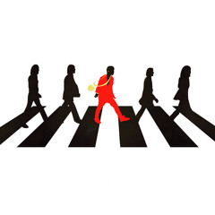 WHAT'S A BLACK BEATLE