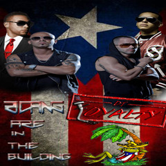 DJLOYALTY RICANSAREINDABUILDING