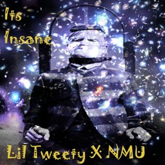 Its Insane- Lil Tweety X NMU