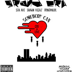 Somebody Can Feat 5th Ave Shawn Vegaz Prince Mikal