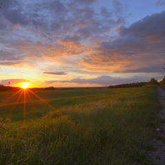 Evening Song