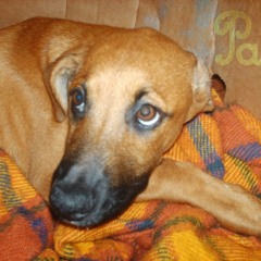 Patricia Cantuarias Bocanegra