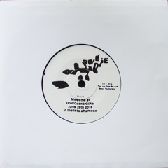 B Meet me at Dreirosenbrücke, June28th 2014 in the late afternoon