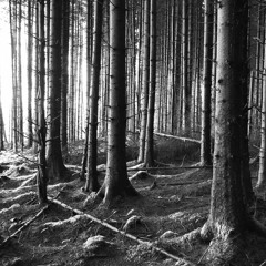 Decrypted - Absolution