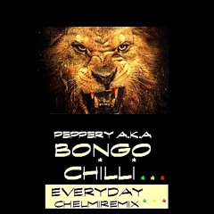 Bongo Chilli A.K.A Peppery - Everyday RMX