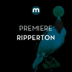 Premiere: Ripperton  'Searchin 4 You'