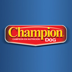 Champion - Bulldog Francés