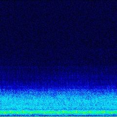 Fin Whale in Cascadia Basin