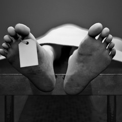 Zip Em Up - Feat. D Dro