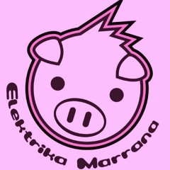 Tu Eres Especial-ELEKTRIKA MARRANA (Sefu selektah & Cara alvarez)