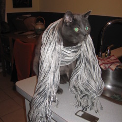 These Days... A.K.A. "Freska" - REALtime JERICHO