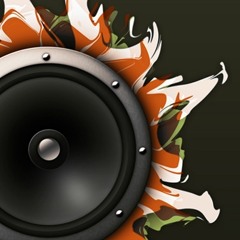 Fat Sushi   What You Need (Original Mix)