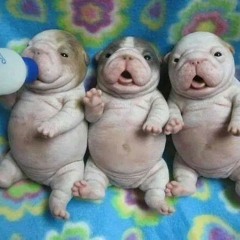 EL GUACHON - CALIENTA PAVA -EL PEK'E REMIX-