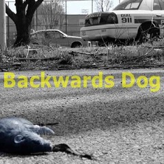 Backwards Dog - Far Away