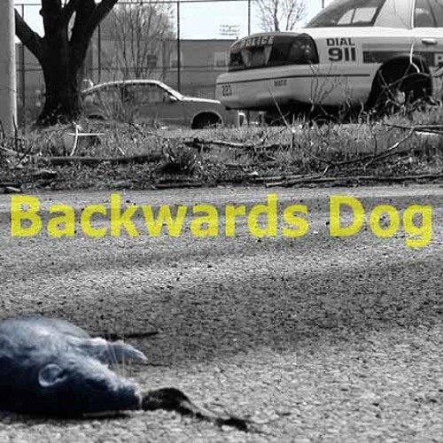 Backwards Dog - Far Away