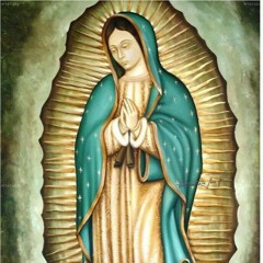 Himno ala humildad con amor en mi voz  a Con el amor mas limpio a mi madre la virgen de guadalupe