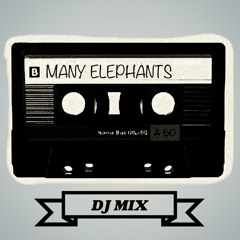 Many Elephant DJs - Migration Through 6 Kingdoms (D&B Mix)