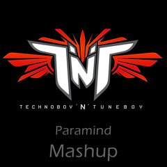 TNT - Tri-to-DDD (Paramind Mashup)(2013)