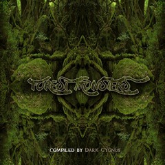 Lost Reflection - Follow The Whisper  (155)