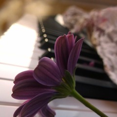 See Me When I See You - Rismaandanimu