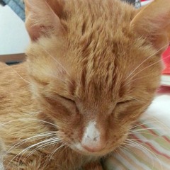 내게 눈키스를 해죠 MR