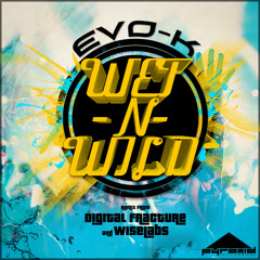 EVO-K * WET 'N' WILD (Digital Fracture & Wiselabs RMX)