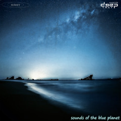[dtdigi008] Subset - Sounds Of the Blue Planet (Preview)