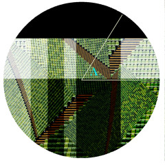 After Disco  /  Dinosaur