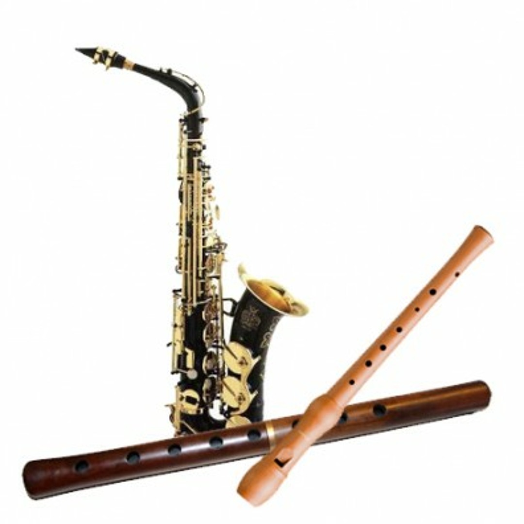 От классики до джаза. Дудук фото. «орган и душа дудука». Орган и саксофон. Кларнет джаз.