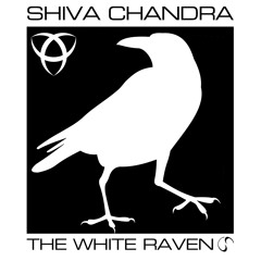 Shiva Chandra - The White Raven - Preview