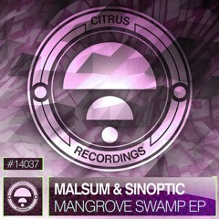 MALSUM & SINOPTIC Transhuman (Citrus)