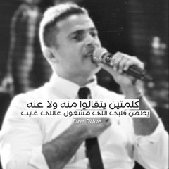 insa 2lby