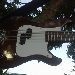 Yamaha RBX200 - EMG Pbass Pickups