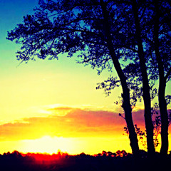 Eryc Wyseman - Beg For Sex (Turbo & Phish Remix)