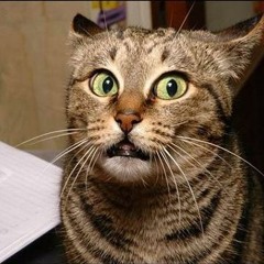 ก็หมวยนี่คะ (Karaoke Ft.Kik)