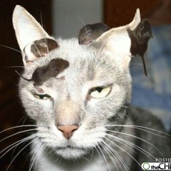 สู่กลางใจเธอ (Karaoke Ft.Kik)