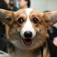 รักเธอ 24 ชั่วโมง (Karaoke Ft.Kik)