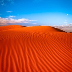 Beaches of Arizona