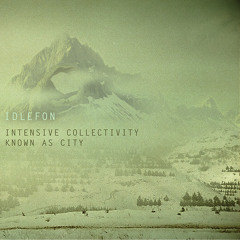 11- Pickers Of Empty Cocoons (with Nima Pourkarimi)