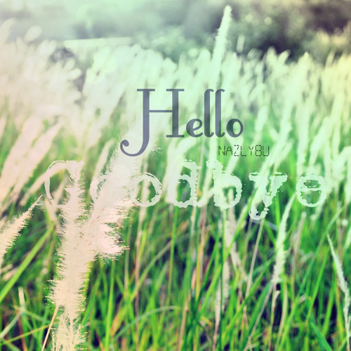 Hello Goodbye(Cover) by NazlyBu